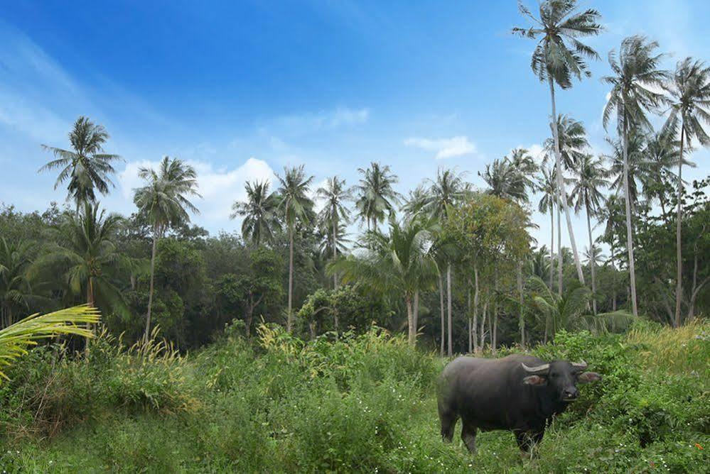 فندق Samui Le Reve Na Mueang المظهر الخارجي الصورة